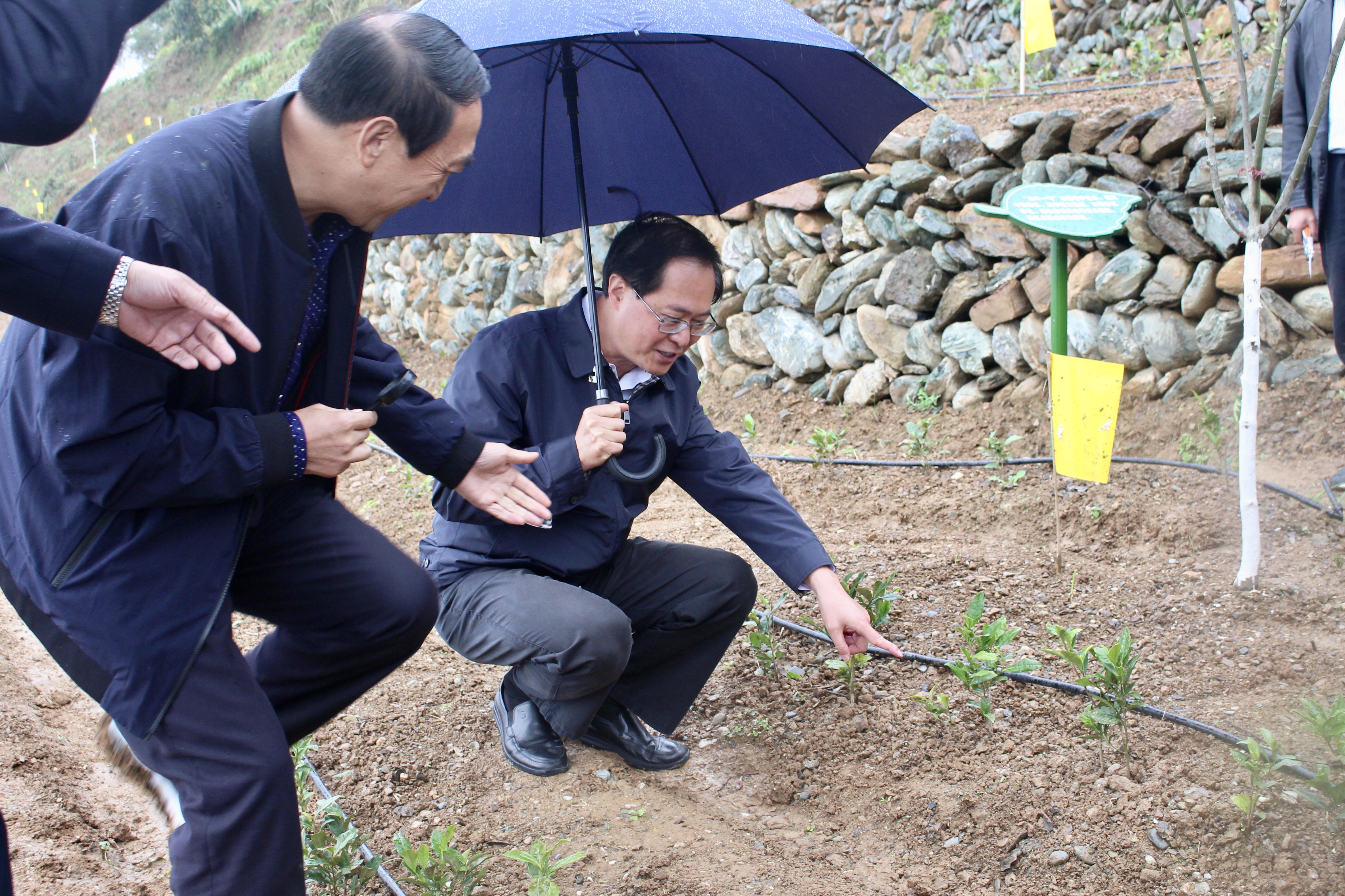 浙江省委书记车俊赴乐动（中国）“白叶一号”四川青川合作基地调研