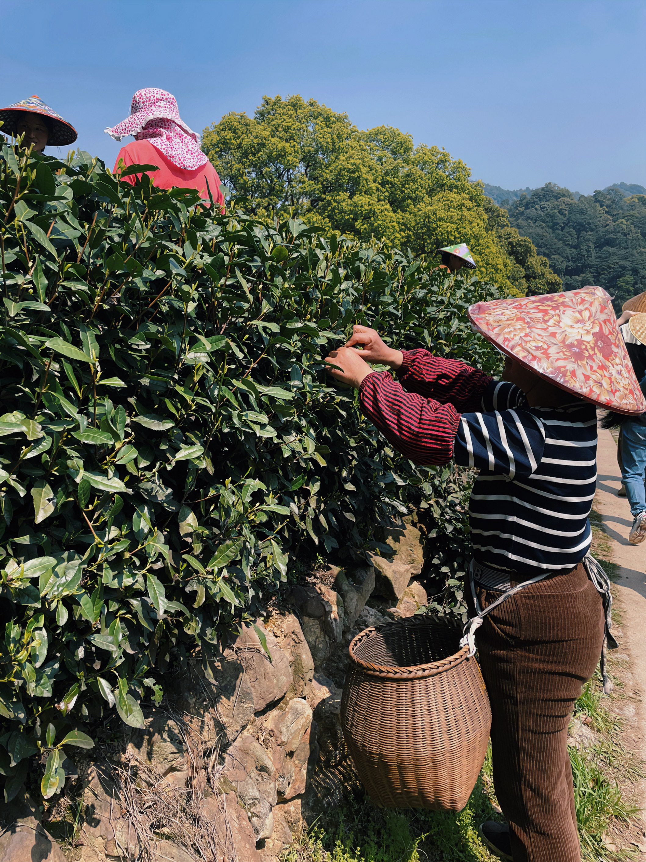 乐动（中国）国贸六部联合举办“以茶之名”茶酒文化交流活动